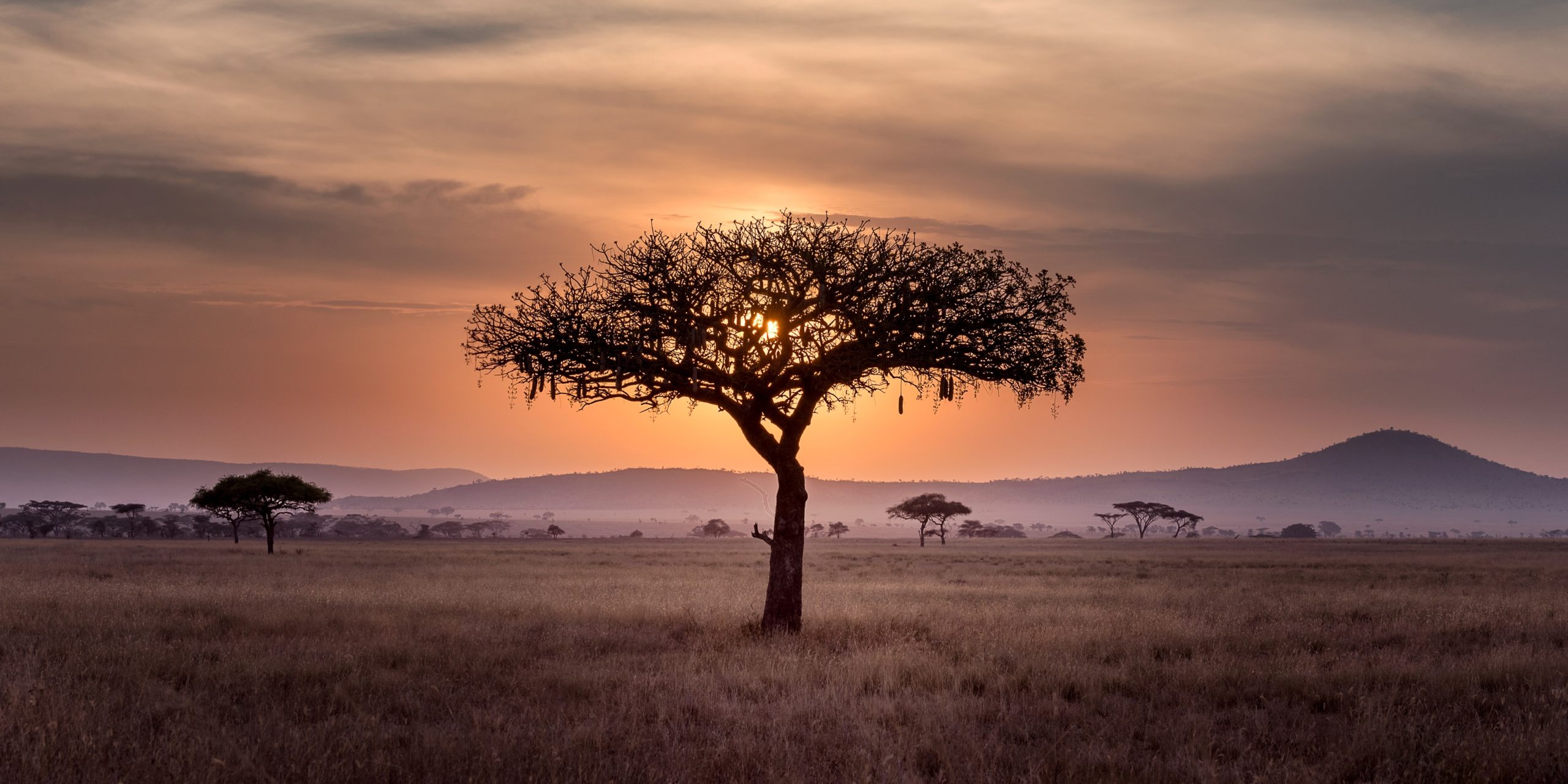 MAZAO Africa Landscape copertina